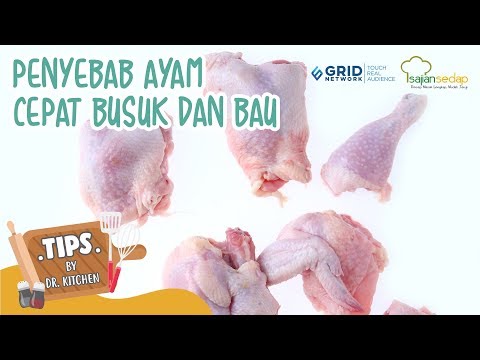 Tips Menghindari Ayam Cepat Busuk dan Bau, Wajib Dihindari!