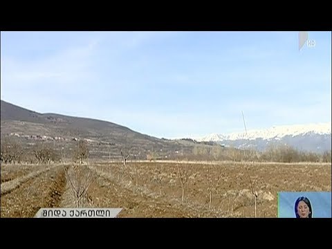 ვითარება საოკუპაციო ხაზთან