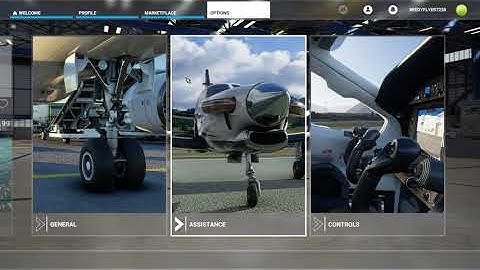 Flight Simulator 2020: Setup and Options