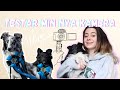 Testar min nya kamera | Vlogg 📷