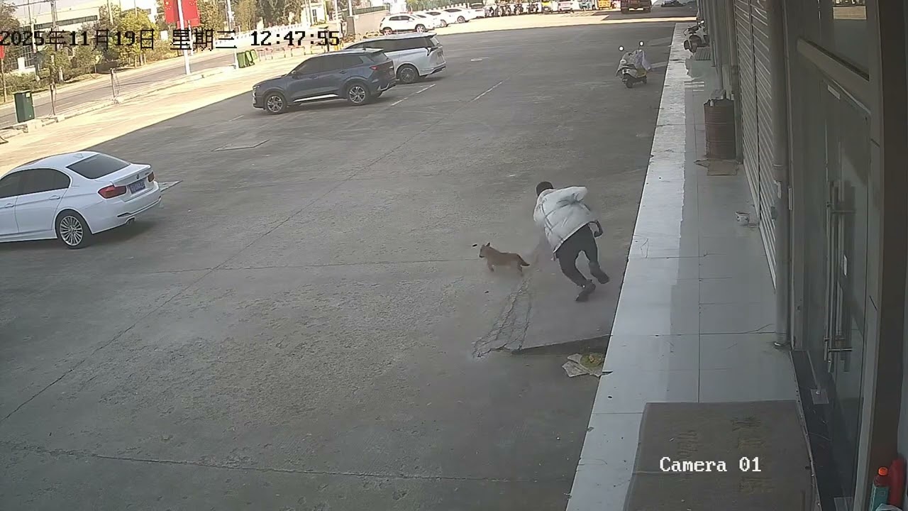 6333:Chinese man slips and falls while trying to scare small dog
