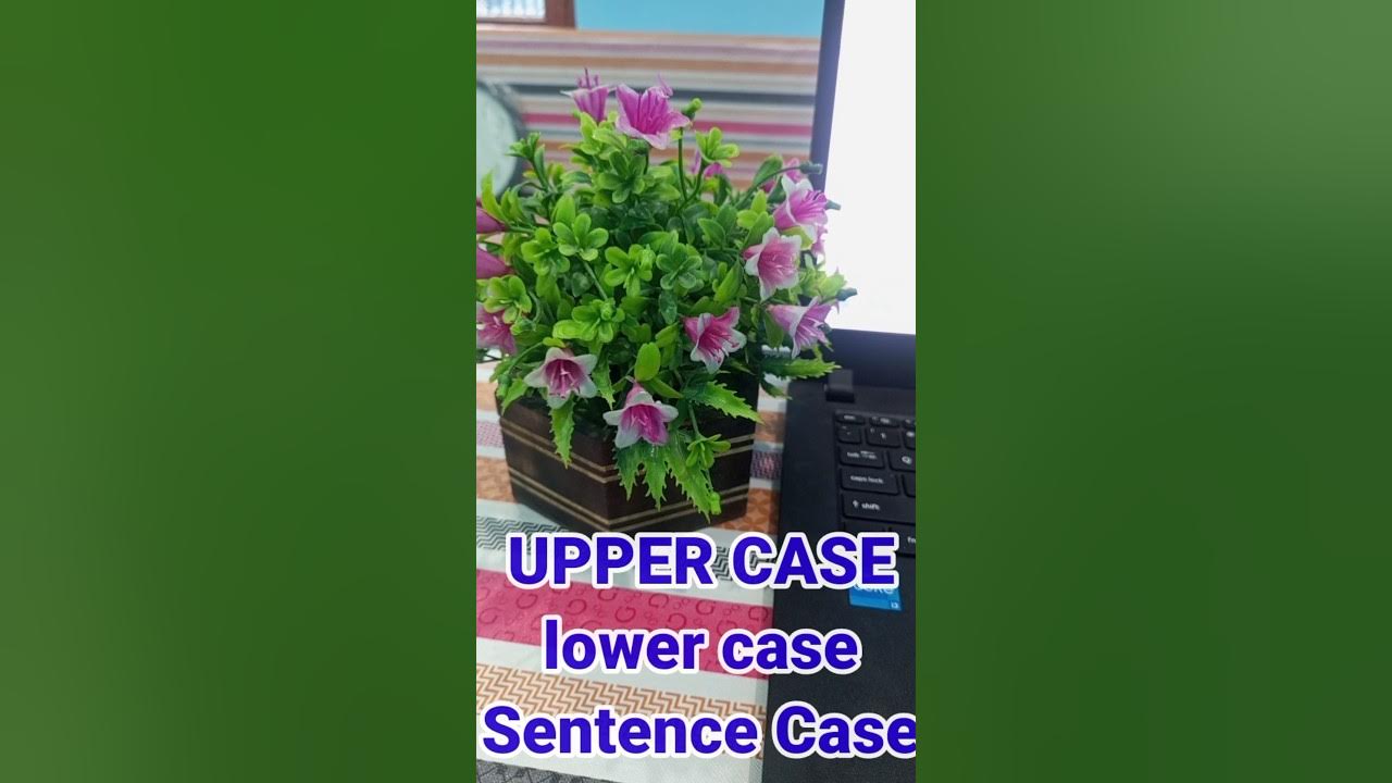 UPPER CASE😒lower cas🙏Sentence Case viral computer bk tecnical YouTube