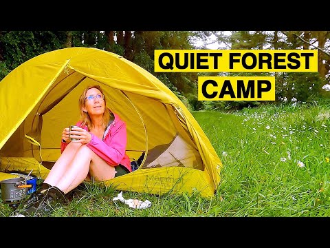 Solo camping in the forest, listening to bird song 🌲🌳🏕🌲🌳