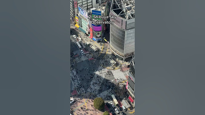 BEST Shibuya Crossing views!