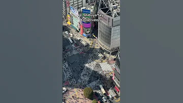 BEST Shibuya Crossing Views 