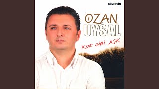 Bile Bile Sevdim Seni