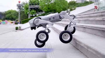 Unitree Quadruped Robots | The Future of Robotics #QuadrupedRobot #Dronevex