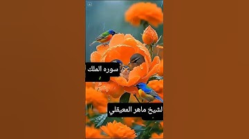 #سورة_الملك #ماهر_المعيقلي #تلاوه #هادئه #جميله #قران الكريم #الشيخ ماهر_المعيقلي