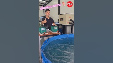 จบทุกปัญหาเรื่องออกซิเจน! 💪 ลมแรงสุด ทนทานจัด​#ปั๊มลมบ่อปลา​#koi ​#ปลาคาร์ฟ​#อุปกรณ์เลี้ยงปลา