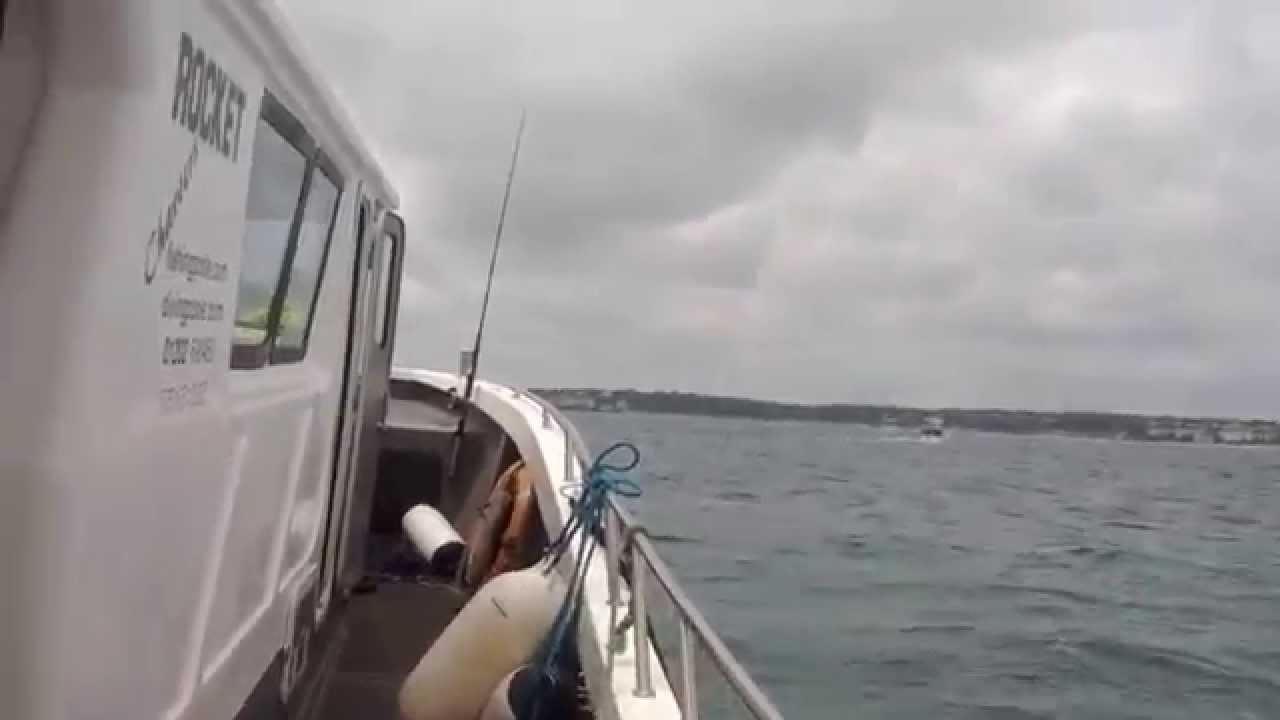 seagulls following the boat - poole, england - youtube