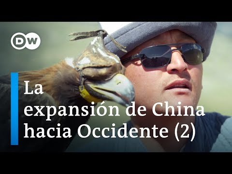 Vídeo: Colesterol: la major estafa del segle XX