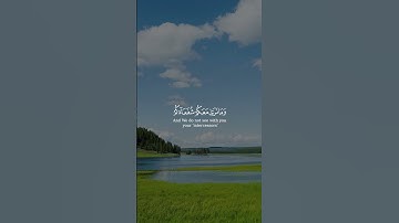 سعد الغامدي سورة الأنعام Saad Alghamidi Surat Al An’am