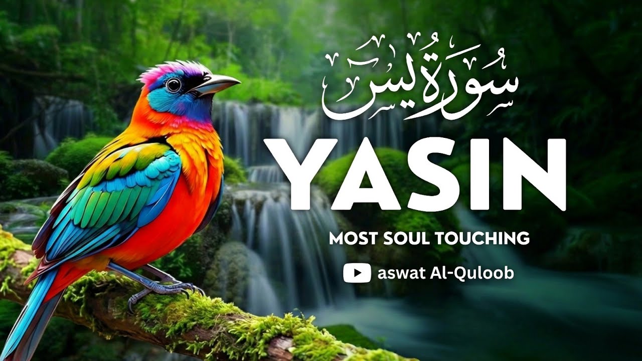 Surah Yasin Full Beautiful Recitation | Emotional & Peaceful Quran Tilawat for the Heart