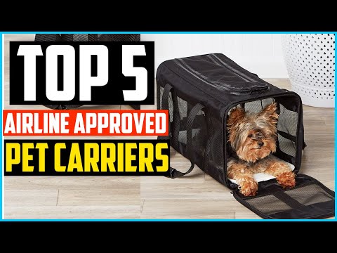Video: Recensione: My Favorite Airline Carrier