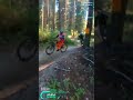 Bacon by ndit   valemount bike park 30