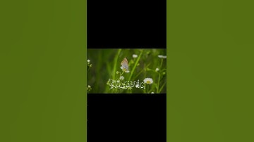 لن ينال الله لحومها ولا دماؤها || فارس عباد سورة الحج #quran #القرآن_الكريم