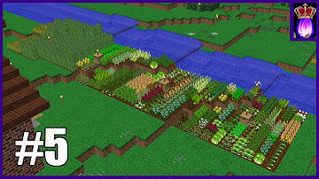 Enigmatica 2: Episode 5 - Farming For Power (eventually)