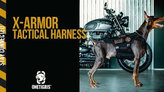OneTigris X ARMOR Tactical Dog Harness | Fullbody Armor, Fullmetal Buckles, The Next Level Gear