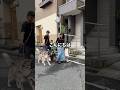 【大型犬】子供たちとロットワイラーを撮ってみた