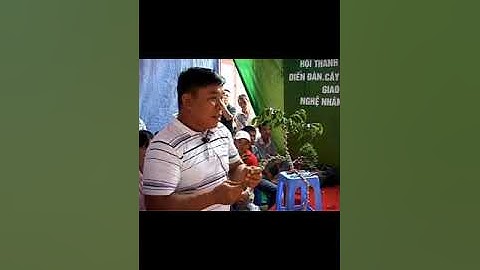 Nghệ nhân biến cây Cảnh thành cây củi # Đỉnh Cao Nghệ Thuật BonSai là đây | Vãi cả nghệ thuật Bó Tay