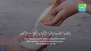 Tunaikanlah Zakat - Al Baqarah 42 - 43 | Powered by umma Indonesia