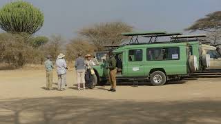 Africa Tanzania Wildlife taken on safari.