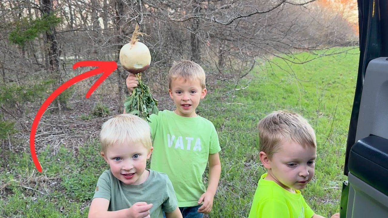 They Stumbled on these in the woods and we had to eat It!