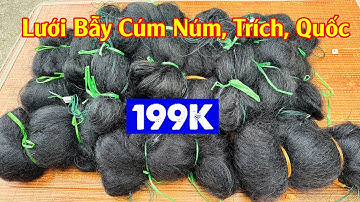 Các Mẫu Lưới Bẫy Chim Đêm 6.7.8p Giá Rẻ | Lưới Tàng Hình / Lưới Tổng Hợp, Bẫy Cúm Núm, Trich, Sâm...