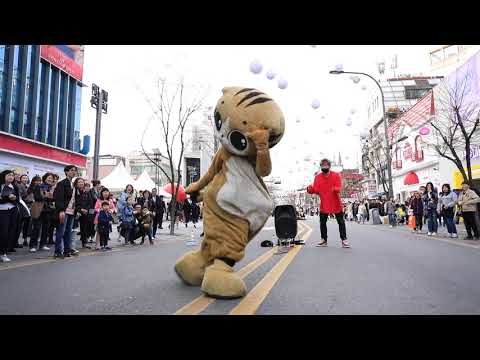 JHKTV] 신촌 명물고양이케이팝댄스와 양성렬  shin chon special <strong>cat</strong> k pop dance &amp;<strong>amp</strong>;yang sy