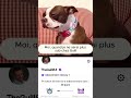 Moi, quand je ne serai plus sub chez Guill #memes #chien #funny #fyp #pourtoi  #viral