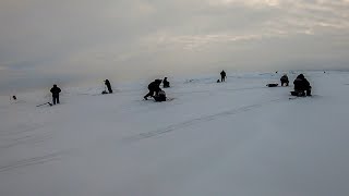 ПОДЖОПНИКИ АТАКОВАЛИ РЫБАКА КОГДА ОН НАЧАЛ ЛОВИТЬ! КАК НЕ НАДО ЛОВИТЬ ОКУНЯ ЗИМОЙ НА БЛЕСНУ!