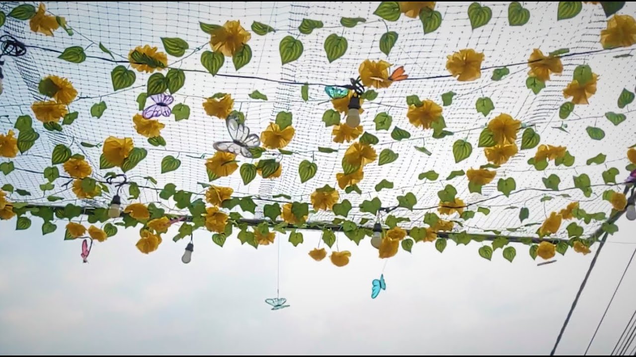 Chofe Lc, BrocoliMusic - (Prohibida)  (Visualizer)