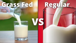 Organic vs Regular Milk vs Grass Fed Milk | What is The Best Milk?