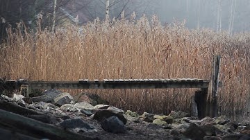 Vallox – Home of Fresh Air