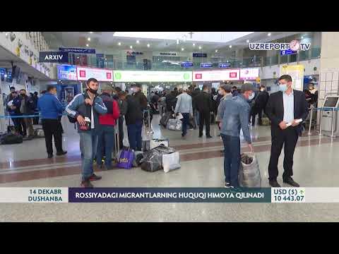 Video: O'rmonni Qanday Himoya Qilish Kerak