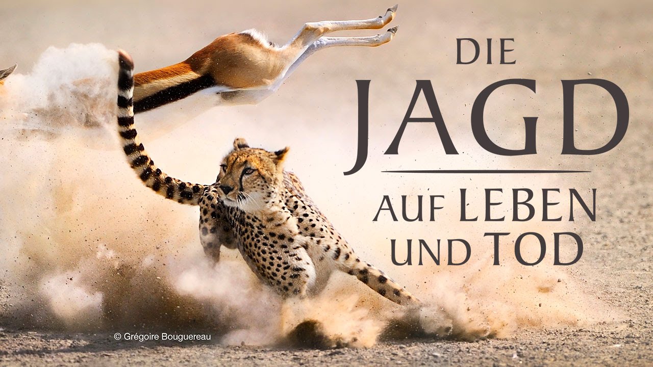 Jagd Auf Die Poseidon Stream Jagd Auf Die Poseidon Stream
