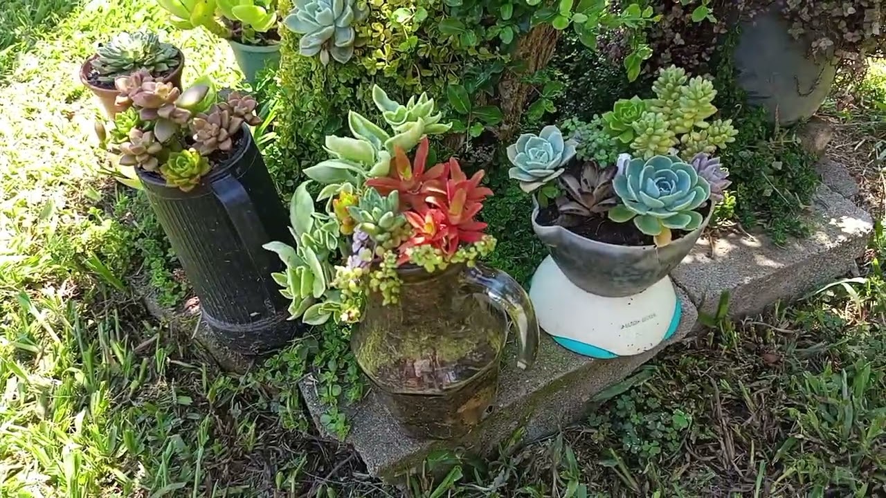 MOTIVACIONAL UM JARDIM DE INSPIRAÇÃO 