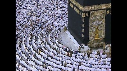 د. إبراهيم المغربي .. سورة الأنعام برواية حفص عن عاصم