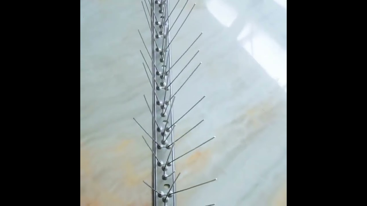 anti pigeon spike