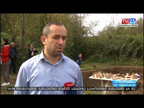 ფიჭვნარში ძვ.წ აღრიცხვით VII - III საუკუნეების ჭურჭელი აღმოაჩინეს