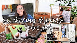 It’s Time! Starting My 2026 Spring Flower Seeds 🌸