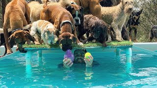 Friday’s pack in the pool!