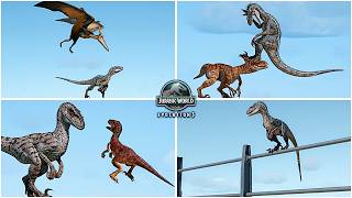Velociraptor All Abilities & Interactions Showcase in Jurassic World Evolution 3 - JWE