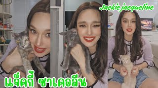 ไลฟ์ 17/07/25 (แจ็คกี้ ชาเคอลีน)และแก๊งค์น้องแมว #jackiejacqueline #ladyjackie