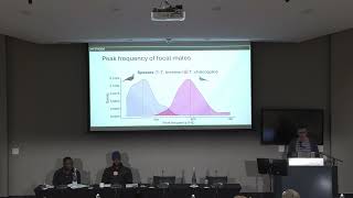 Tomasz Osiejuk Size matters song frequency in African doves affects response to territorial intruder