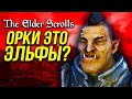 Орки The Elder Scrolls