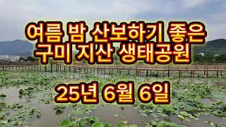 여름 밤 산보하기 좋은 구미 지산샛강생태공원6/6일