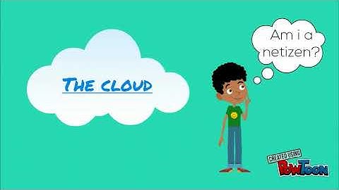 POLs Definition of a Netizen