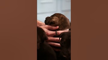 We’re making fetch happen with #christopherbriney #meangirls