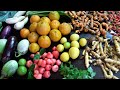 Rooftop Terrace Garden & Backyard Garden Over View | Harvesting Fruits And Vegetables |